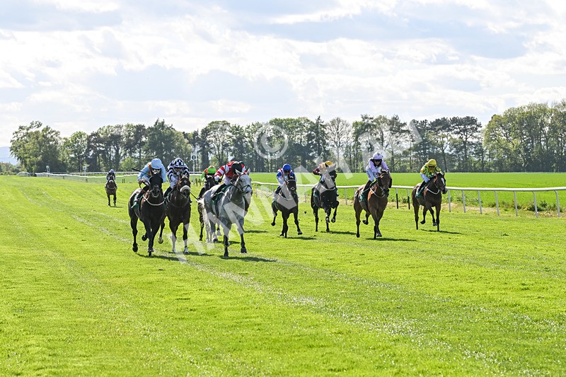 030525-Race 6-Secret Guest-3382 - Race 6