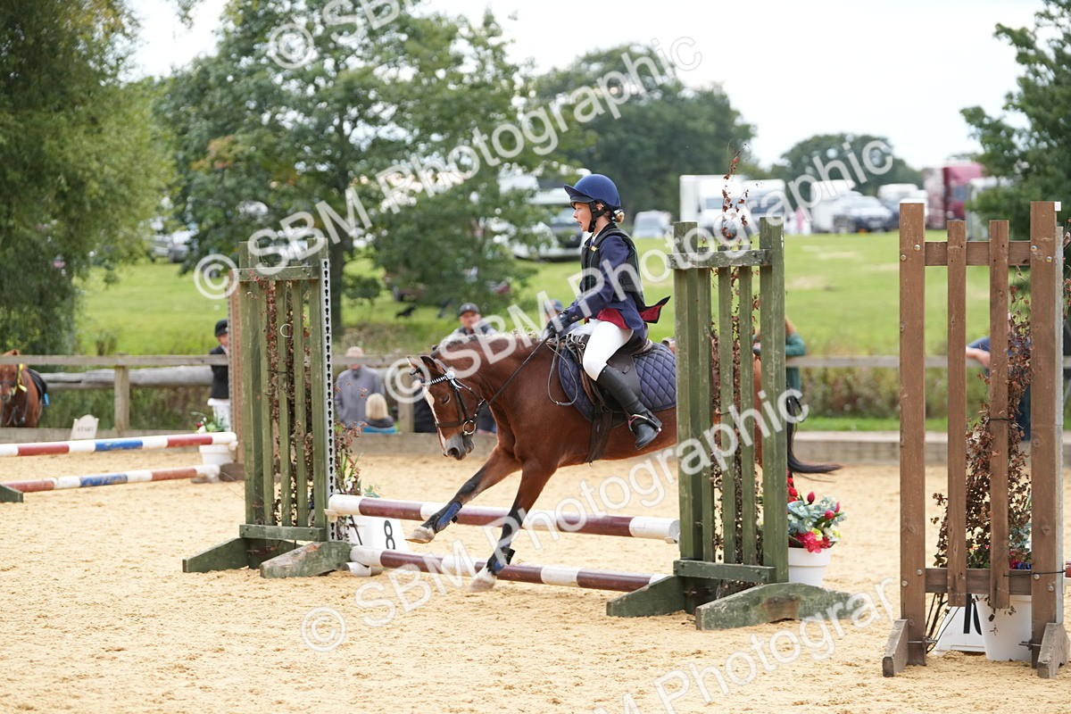 SBM_74745 - J4 - Mini Tour Junior Pony 45cm Championship