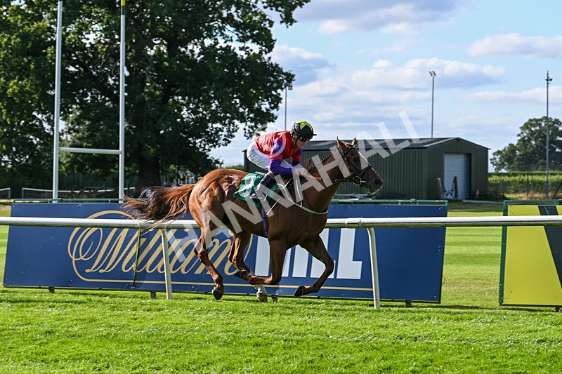 160824-Race 1-Thunder Wonder-8821 - Race 1