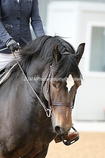 SIAL8952 - GDG Bogenraith Friday 26th Sept 2025