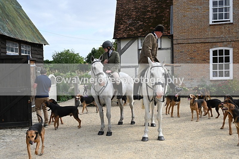 WJ6_3381 - Berks & Bucks - The Old farmhouse - Hound Exercise 20-08-25