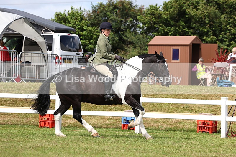 3E7A0179 - Class 6: Rising Star Maxi Cobs