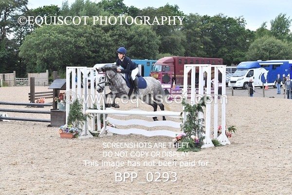 BPP_0293 - CLASS 7 SUN Derby Show Jumping 80CM
