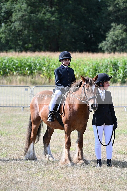 WJ7_2729 - Class 8 Ridden Tack & Turnout