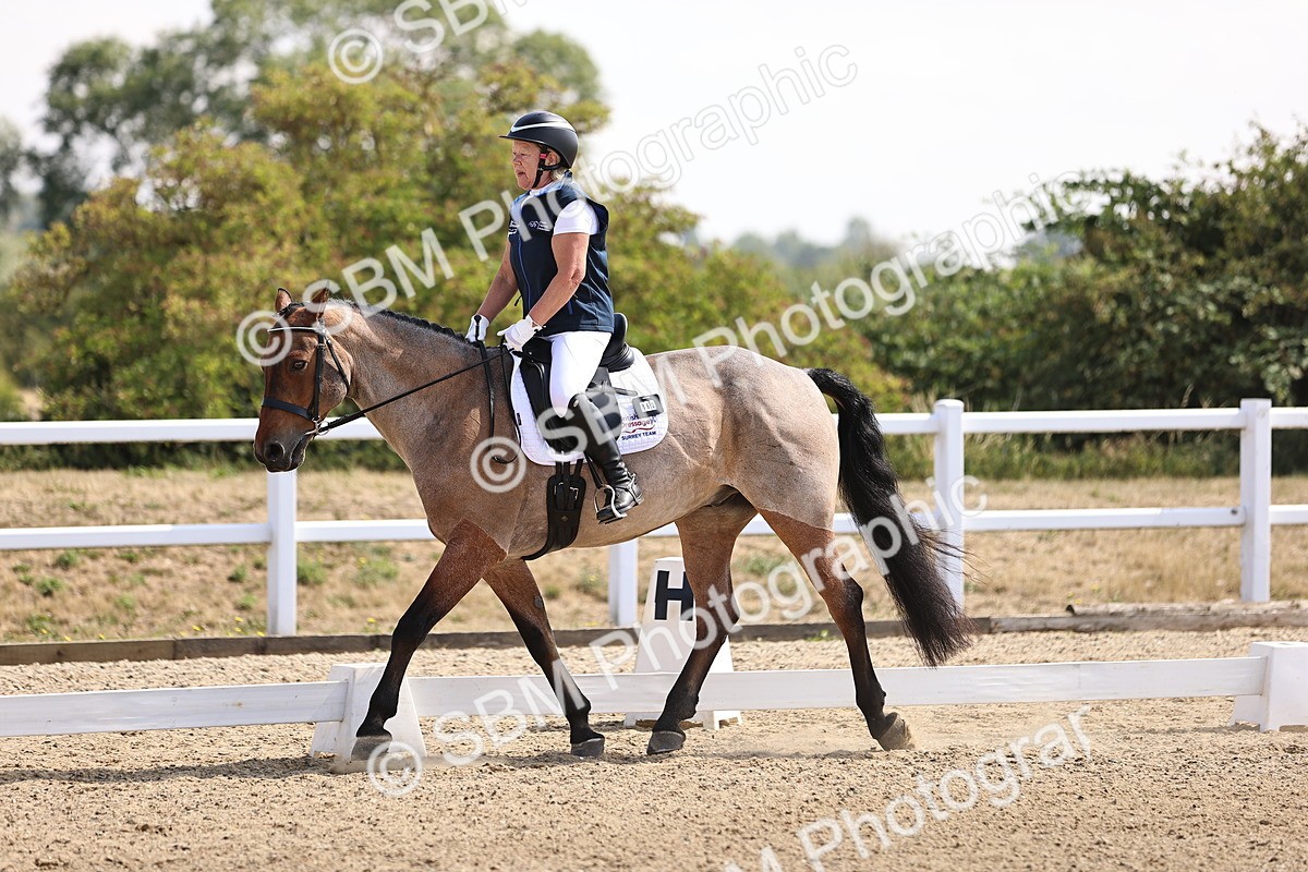 SBM_006519 - Intro 3 - 9.46-10.46