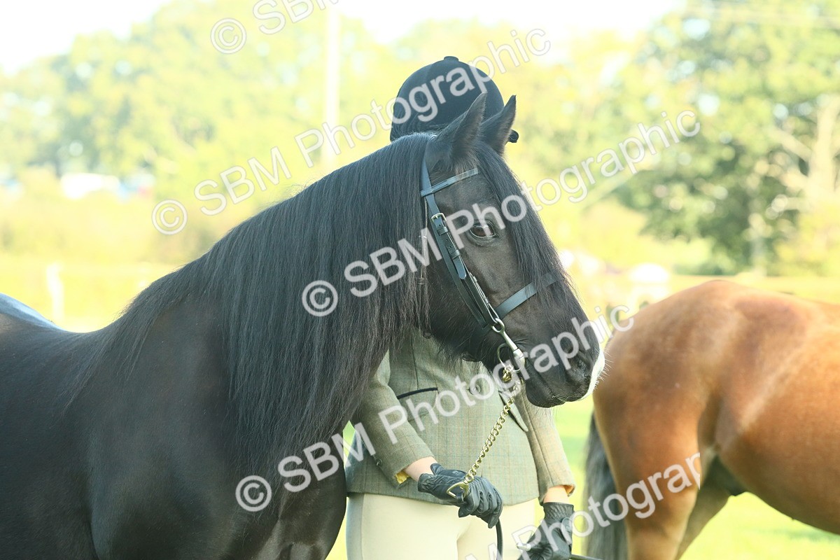 SBM_57482 - S37 - Starters In Hand Showing
