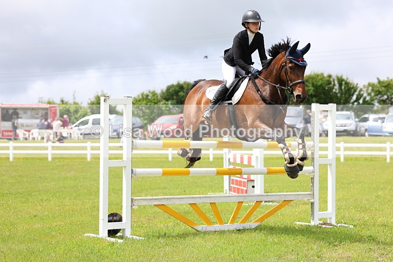 3E7A7102 - Class 12: Senior Foxhunter/1.20 open