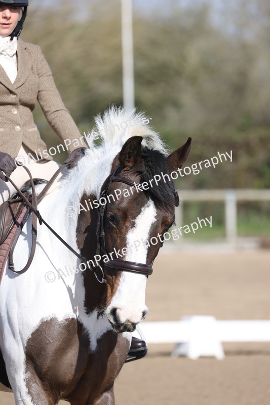 20260228-0425 - Class 4 - Prelim 2