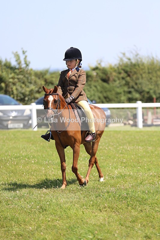 JPP_2232 - Class 20: Tiny Tots Working Hunter Pony
