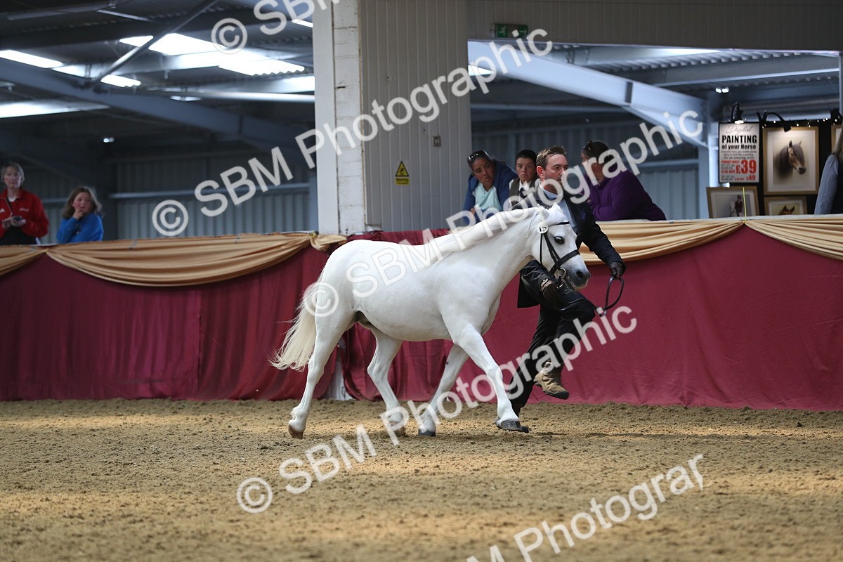 SBM_15279 - Class 501 M&M IH Supreme Final