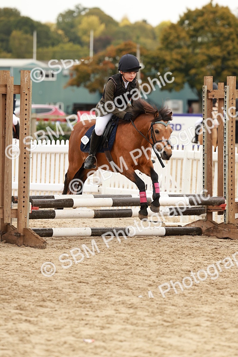 SBM_57616 - J11 - Junior Pony 50cm Championship