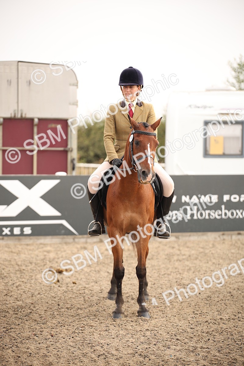 SBM_09819 - Class 401 Riding Club Pony