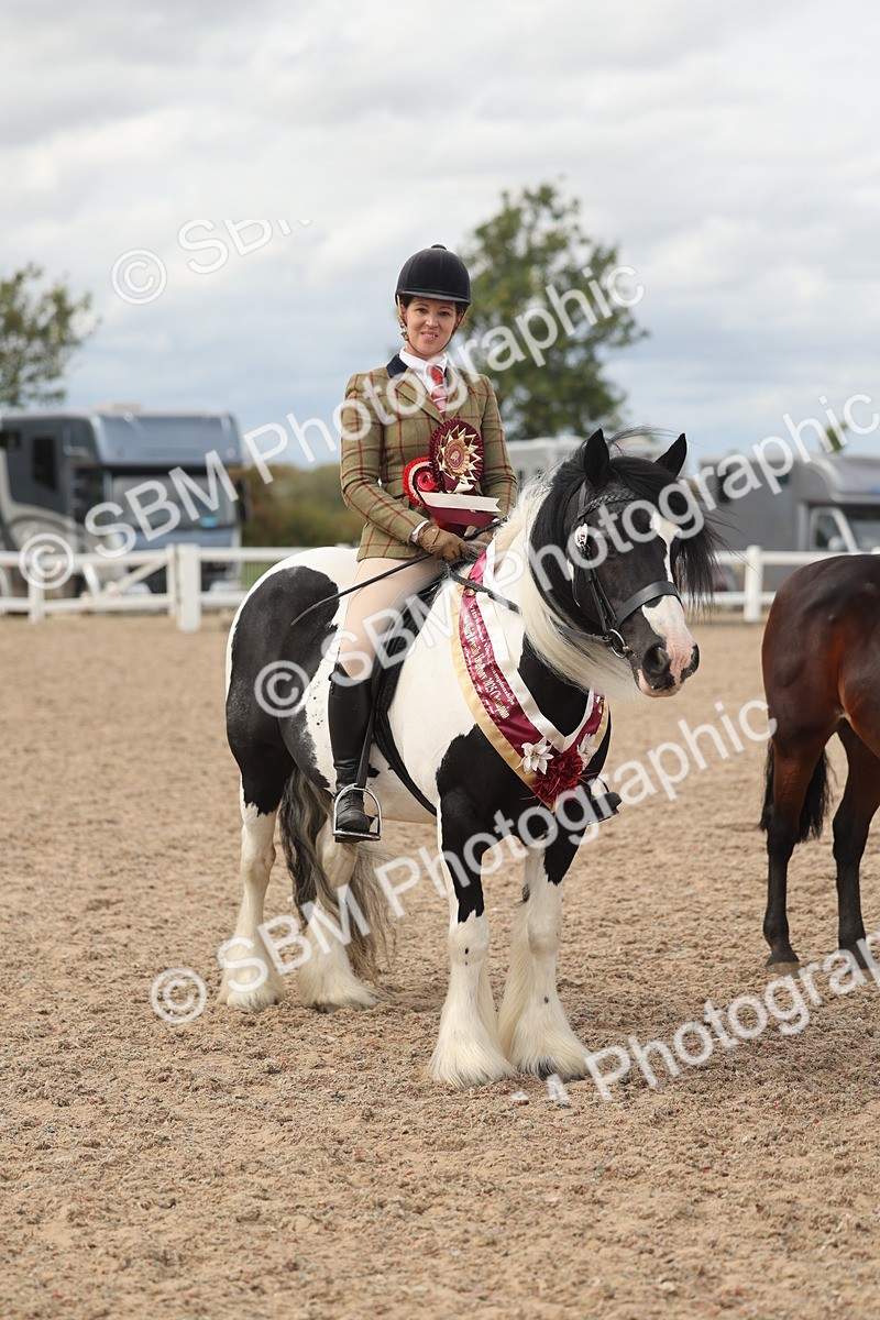SBM_18069 - Class 314 - Family Horse Pony