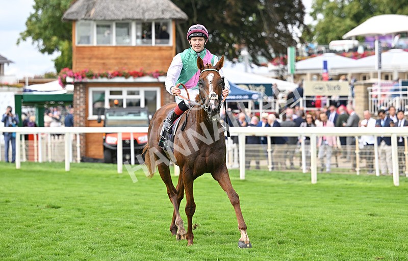 190826-137 Item - Race 4 15.35pm Juddmonte International Stakes