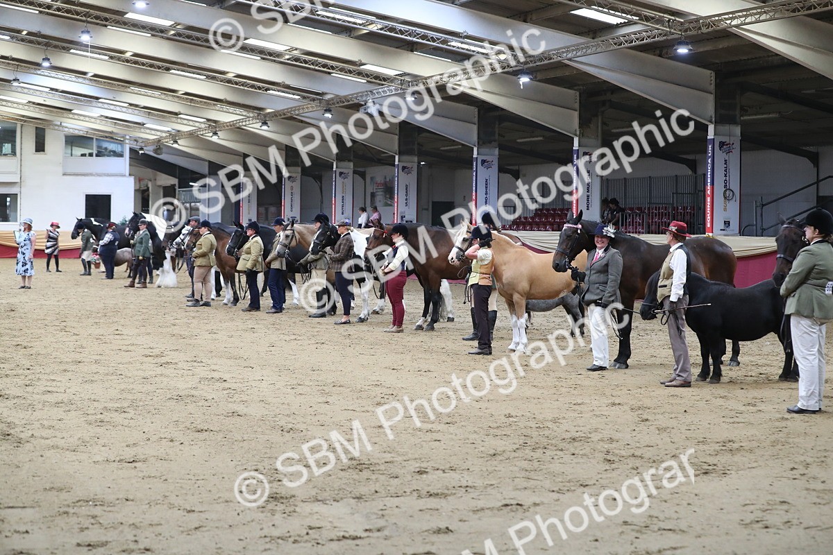 SBM_06399 - Class 9R Regional- IH Pre Vet