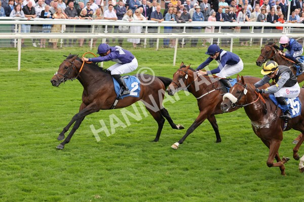 yr18082021r7-19 - Race 7 5.20pm Sky Bet Nursery Handicap