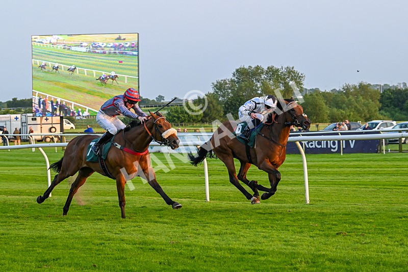 310524-Race 5-Dusk Dame-8939 - Race 5