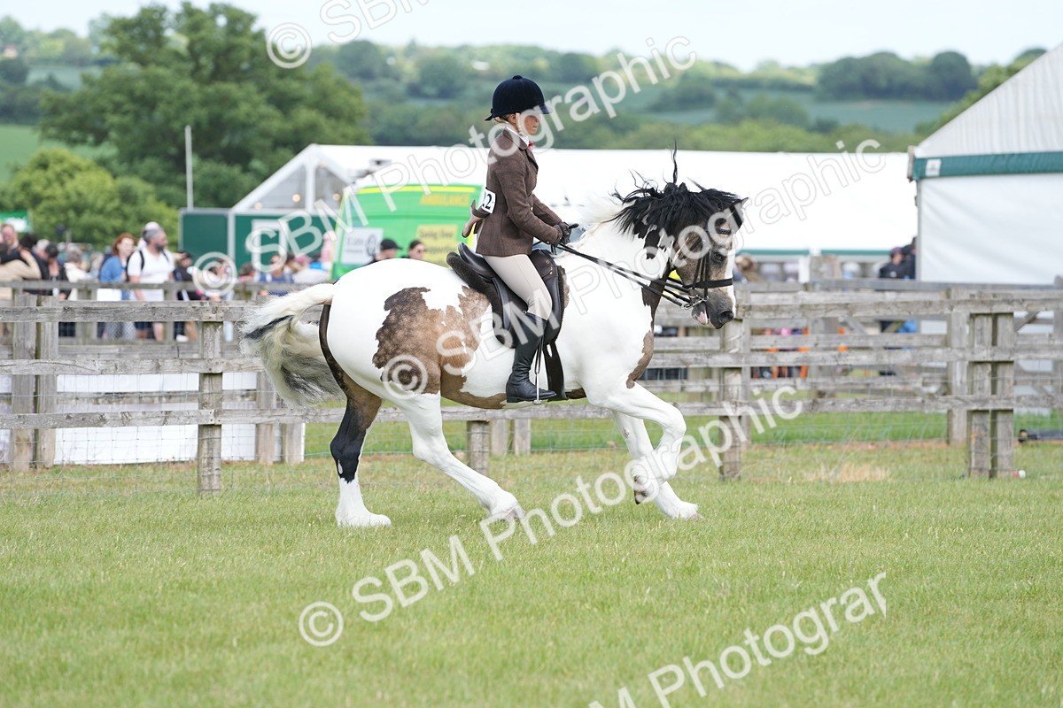SBM_17224 - Class 107-108 - LIHS BSPS Performance Coloured Horse Pony