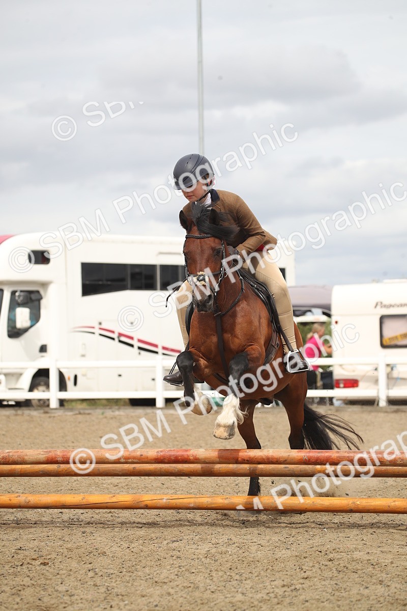 SBM_16785 - Class 507b - Working Veteran 60cm (20+)