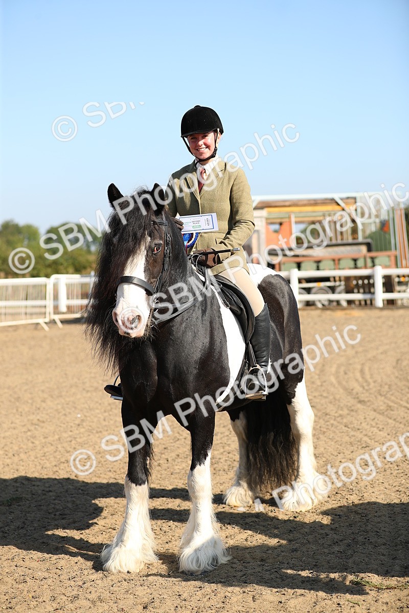 SBM_01234 - Class 42 Ridden Veteran