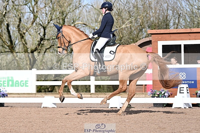 240218A-114445-06837 - 272-Beth.Bainbridge-Newton.Dreamcatcher