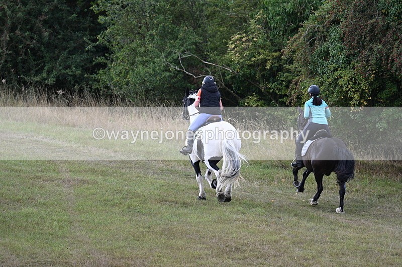 WJ7_5395 - Time 11:22 to 11:41