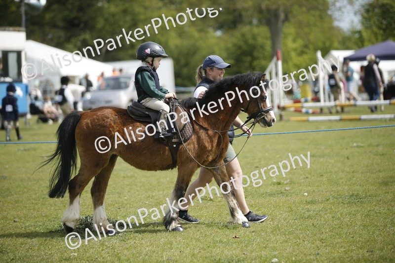 20260426-1847 - Class 7 - Pony Judge Would Most Like To Take Home