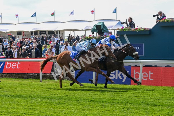 140525-Race 1-Almoshher-1600 - Race 1 2.10pm Sky Bet Race To The Ebor Jorvik Handicap