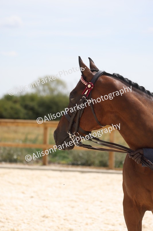 20260802-1545 - Class 16 - Best Horse or Pony