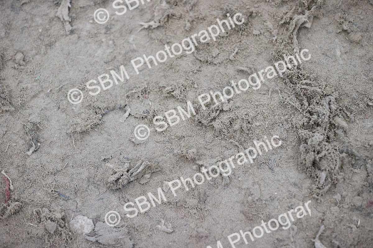 SBM_009751 - Class 2 - Pikeur Pony Winter Novice Championship Qualifier