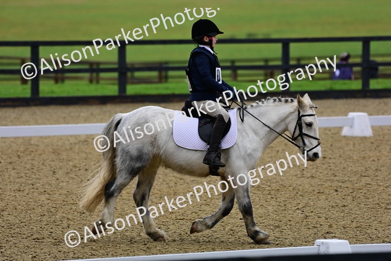 20260125-0526 - Class 9b - Walk Trot Unassisted