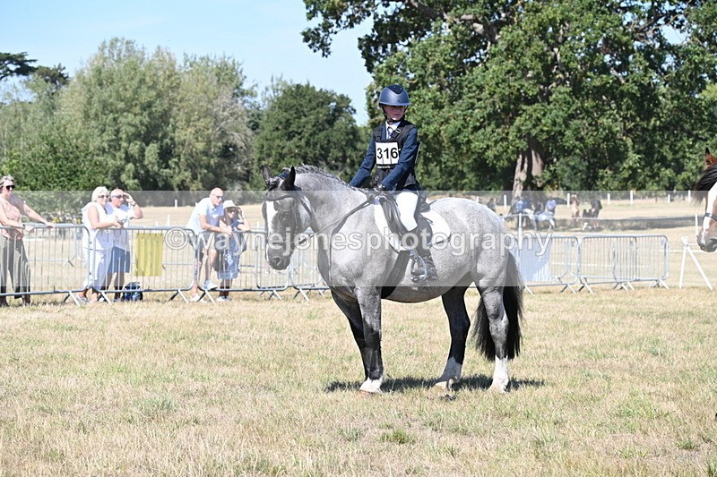 WJ6_8457 - Class 37a Best Loan Pony Ridden