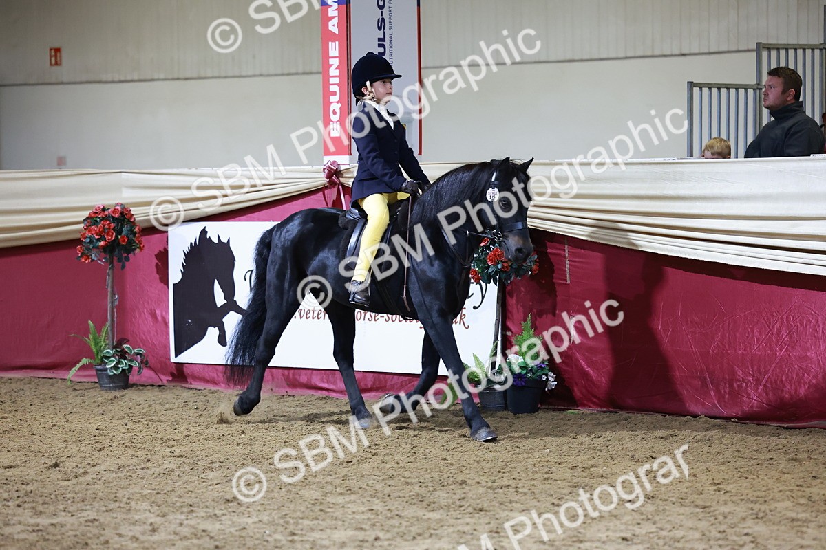 SBM_21334 - Class T - Working Veteran Champs