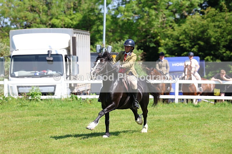 3E7A6771 - Working Hunter Pony Championship