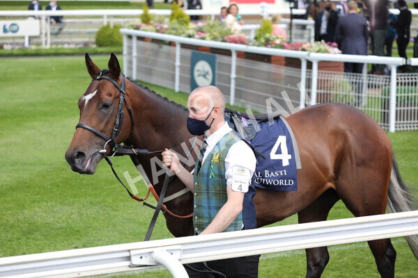 yr13052021r4-4 - Race 4 3.10pm Al Basti Equiworld Dubai Dante Stakes