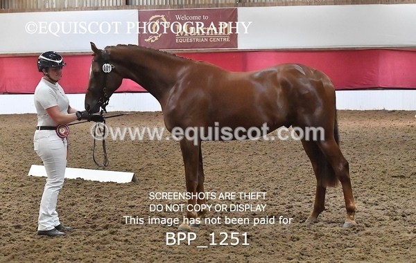 BPP_1251 - MORNING 9AM - 12PM