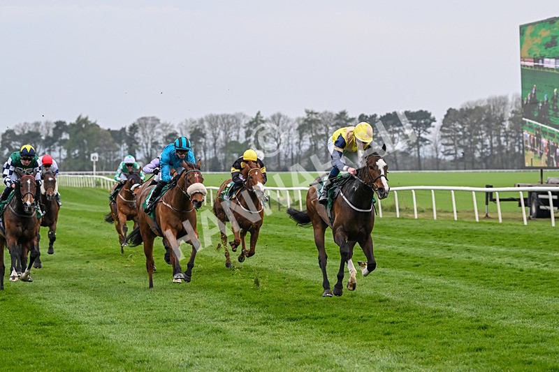 120425-Race 6-Musical Touch-1475 - Race 6