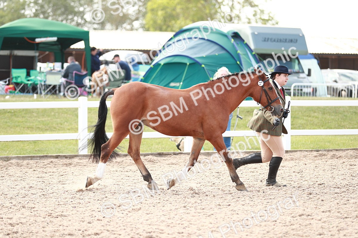 SBM_13840 - Class 209 IH Veteran Pony