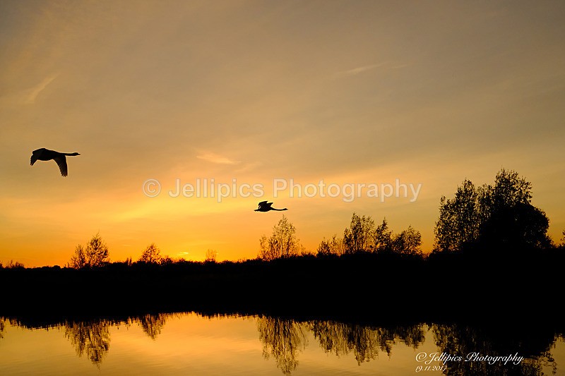  - Landscapes