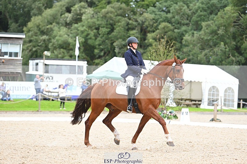 230813-135411-07635 - Cls 13 Medium Bronze 13.15 to End