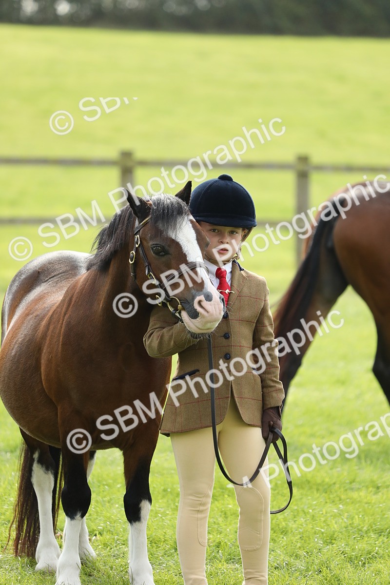 SBM_67827 - S39 - Junior Handler 8  Years & Under