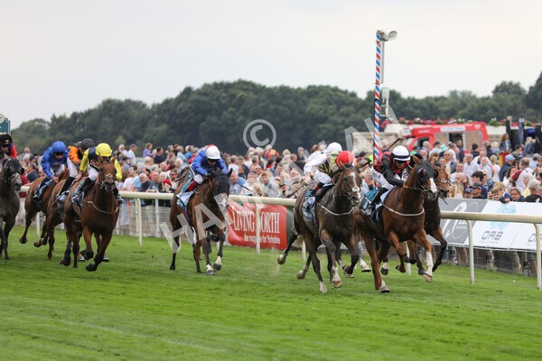 yr18082022r3-20 - Race 3 3.00pm Clipper Logistics Stakes