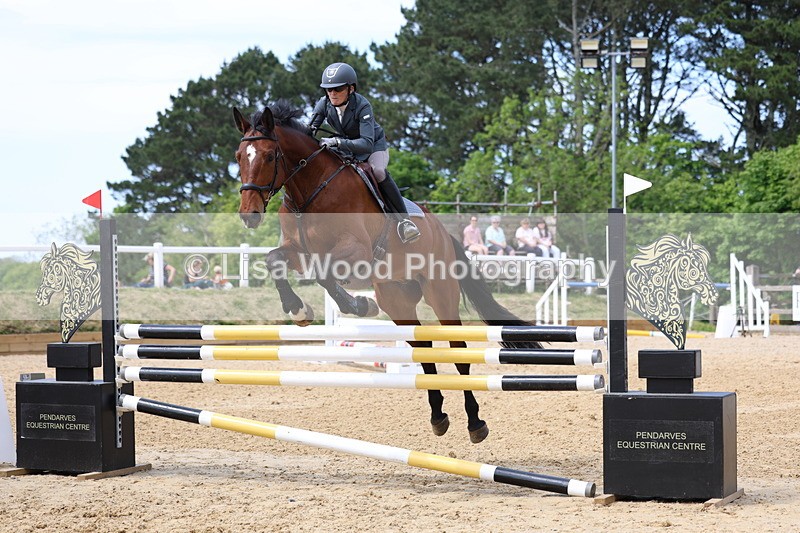 3E7A7056 - Class 7: Senior Newcomers/1.10m open