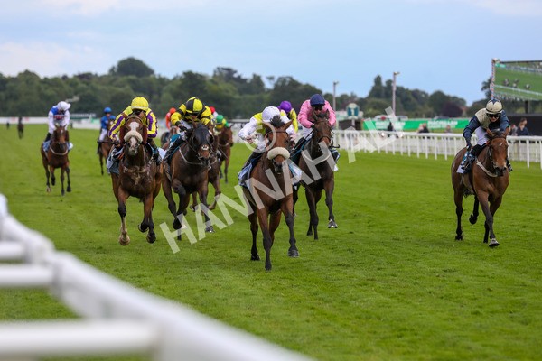 140624-Race 5-Invisible Friend-5749 - Race 6 4.45pm Irish Thoroughbred Marketing Handicap