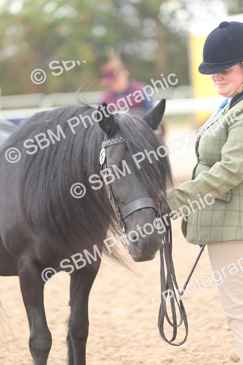 SBM_03251 - Class 16 - IH M&M Wildcard