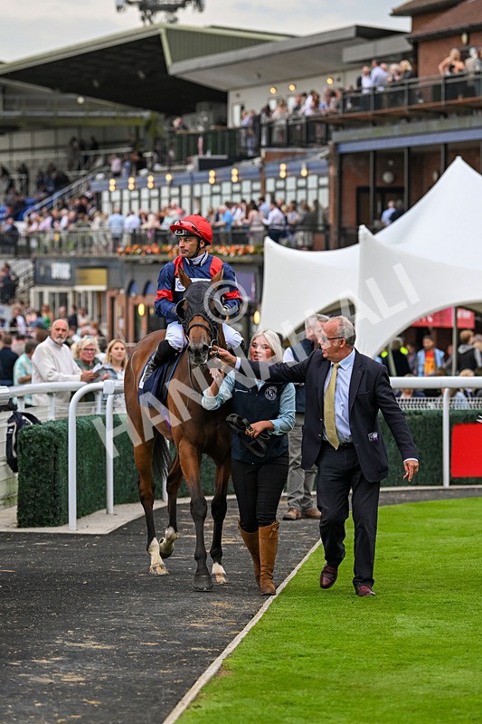 050724-Race 5-Walter Hartright-2582 - Race 5