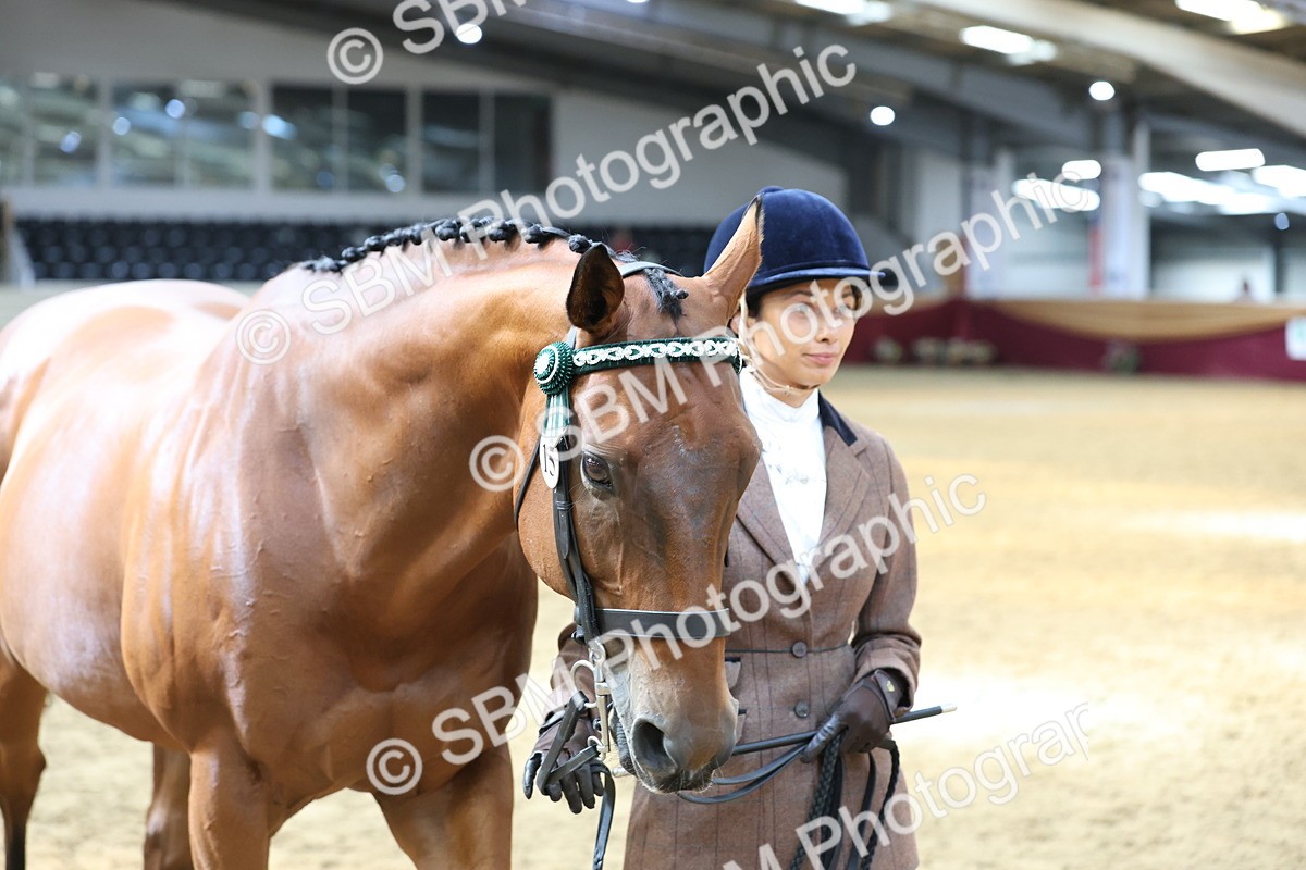 SBM_23392 - Class 903 - Supreme Final - IH Pre Vet