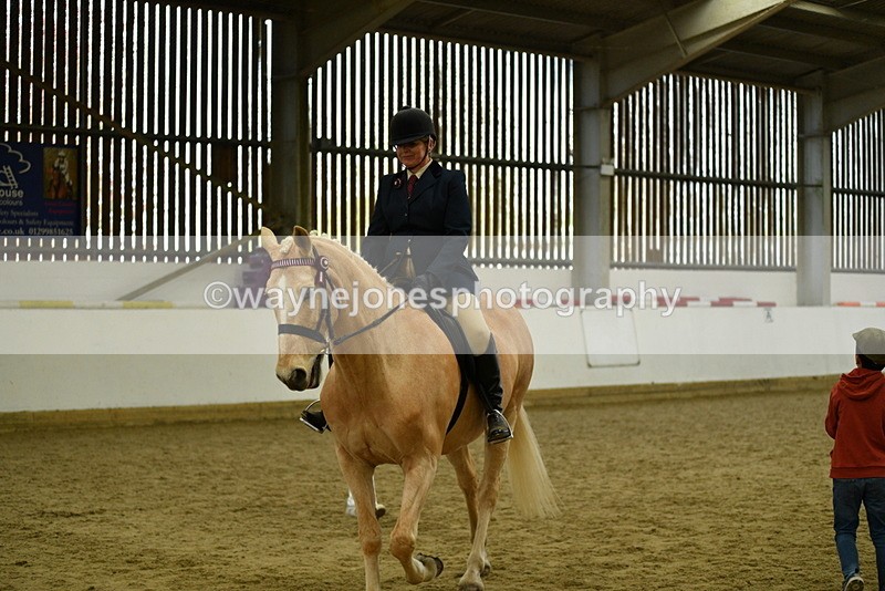 WJ5_6115 - Class 9 Ridden Veteran