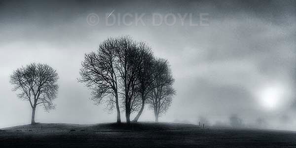 FLYING IN THE FOG - MONOCHROME LANDSCAPES