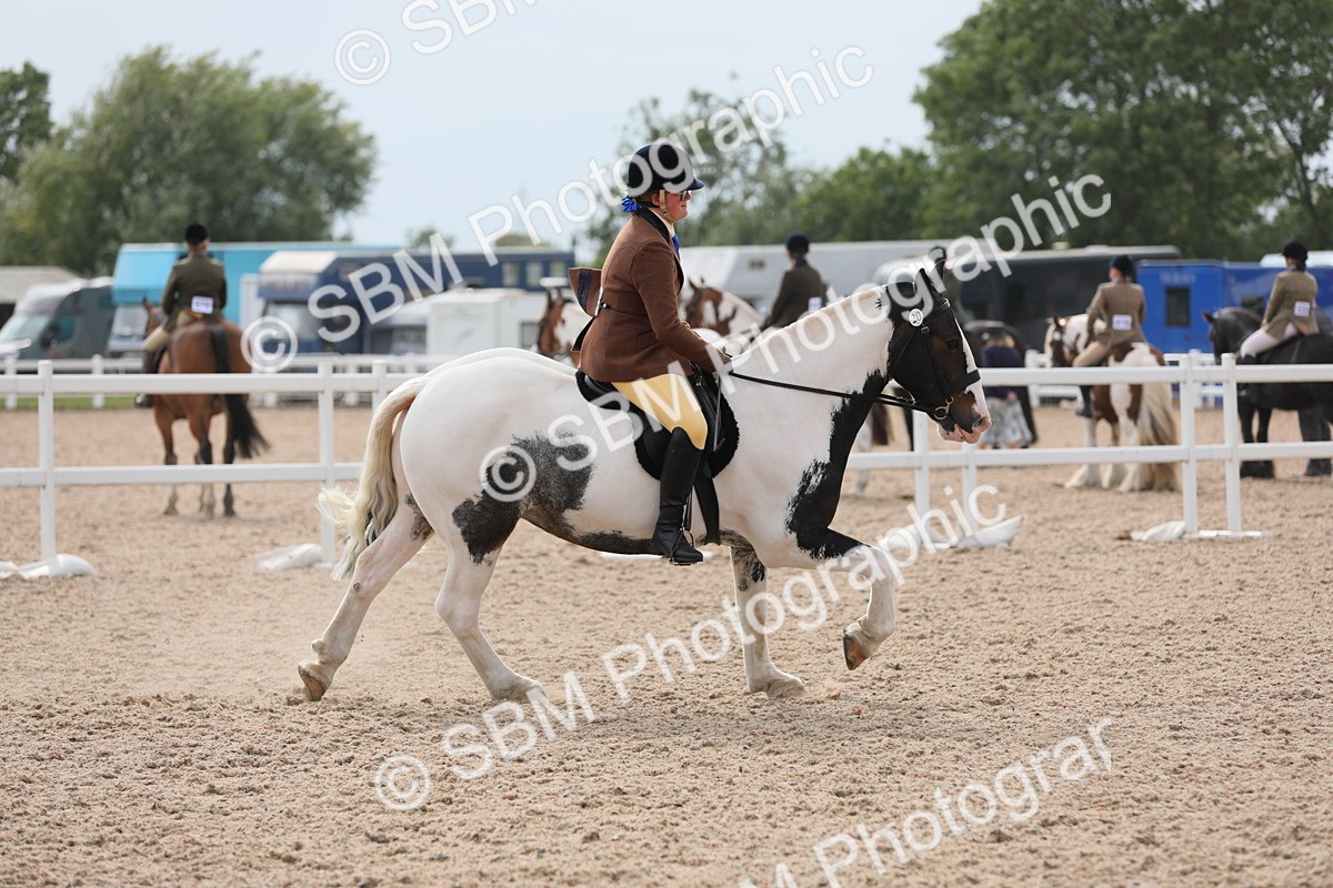 SBM_16976 - Class 314 Family Horse/Pony